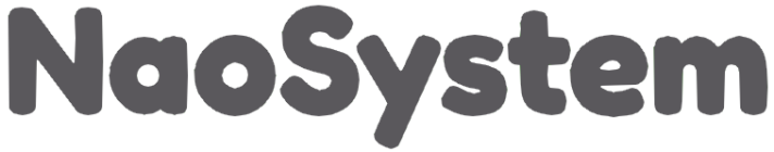 NaoSystem